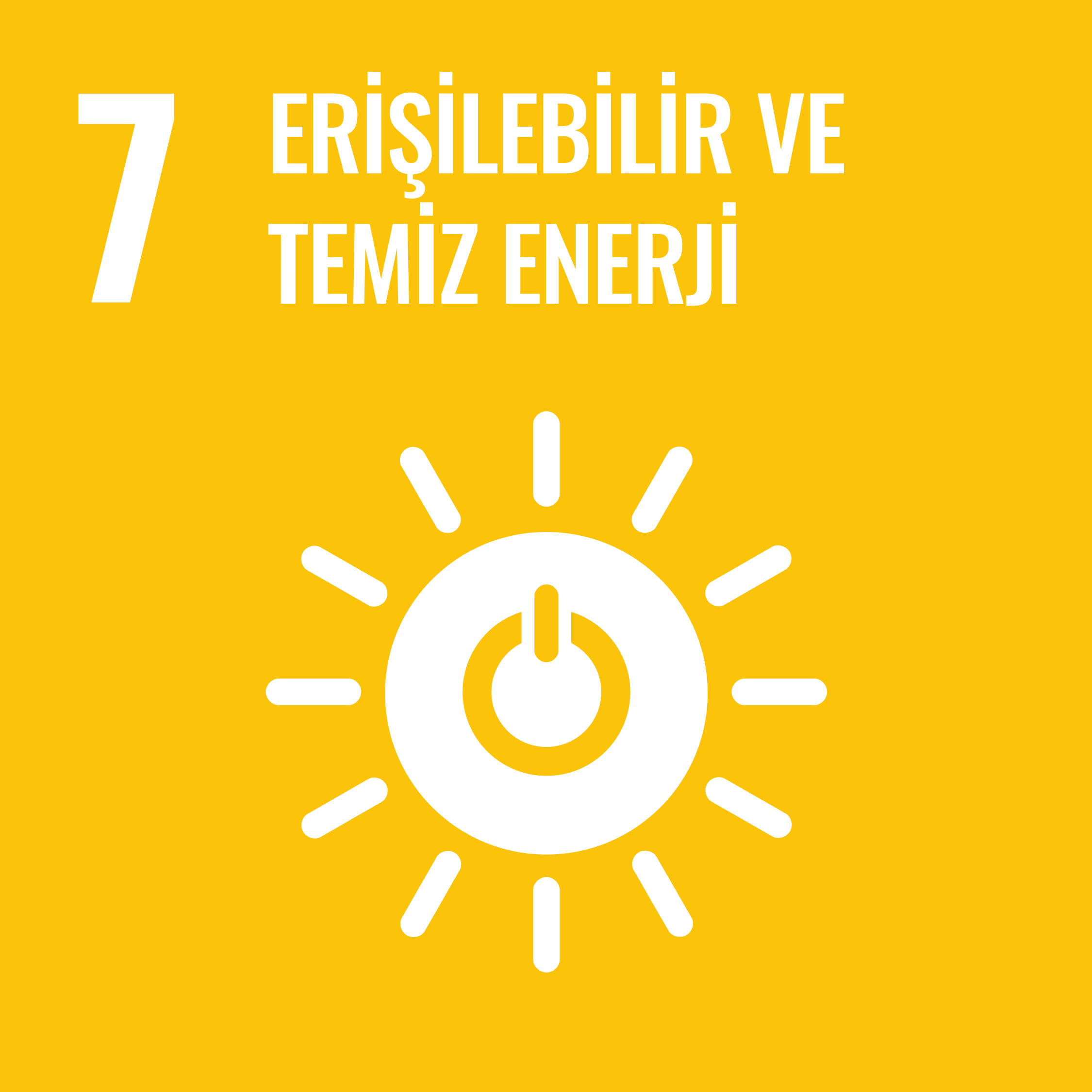 Erişilebilir ve Temiz Enerji