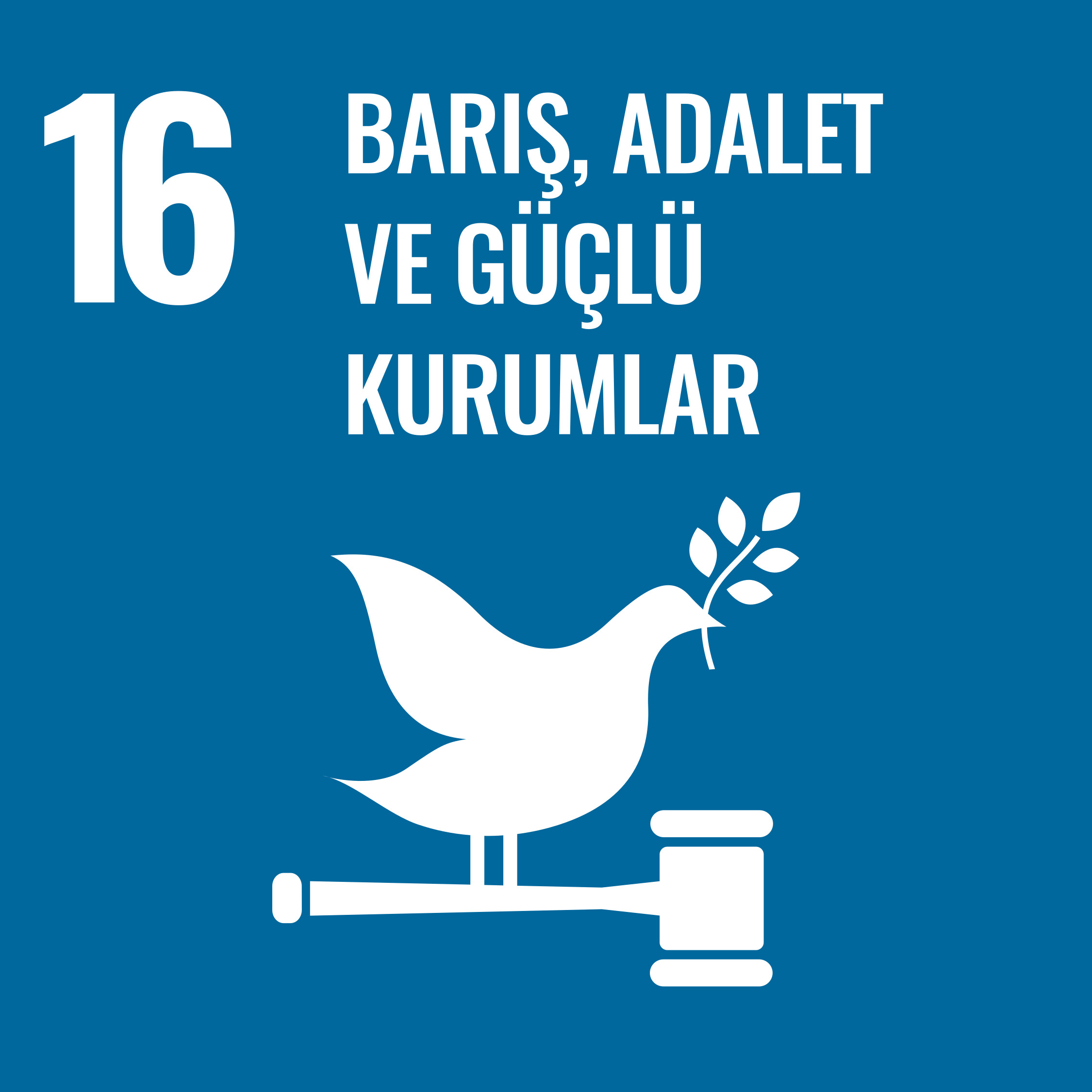 Barış, Adalet ve G&uuml;&ccedil;l&uuml; Kurumlar