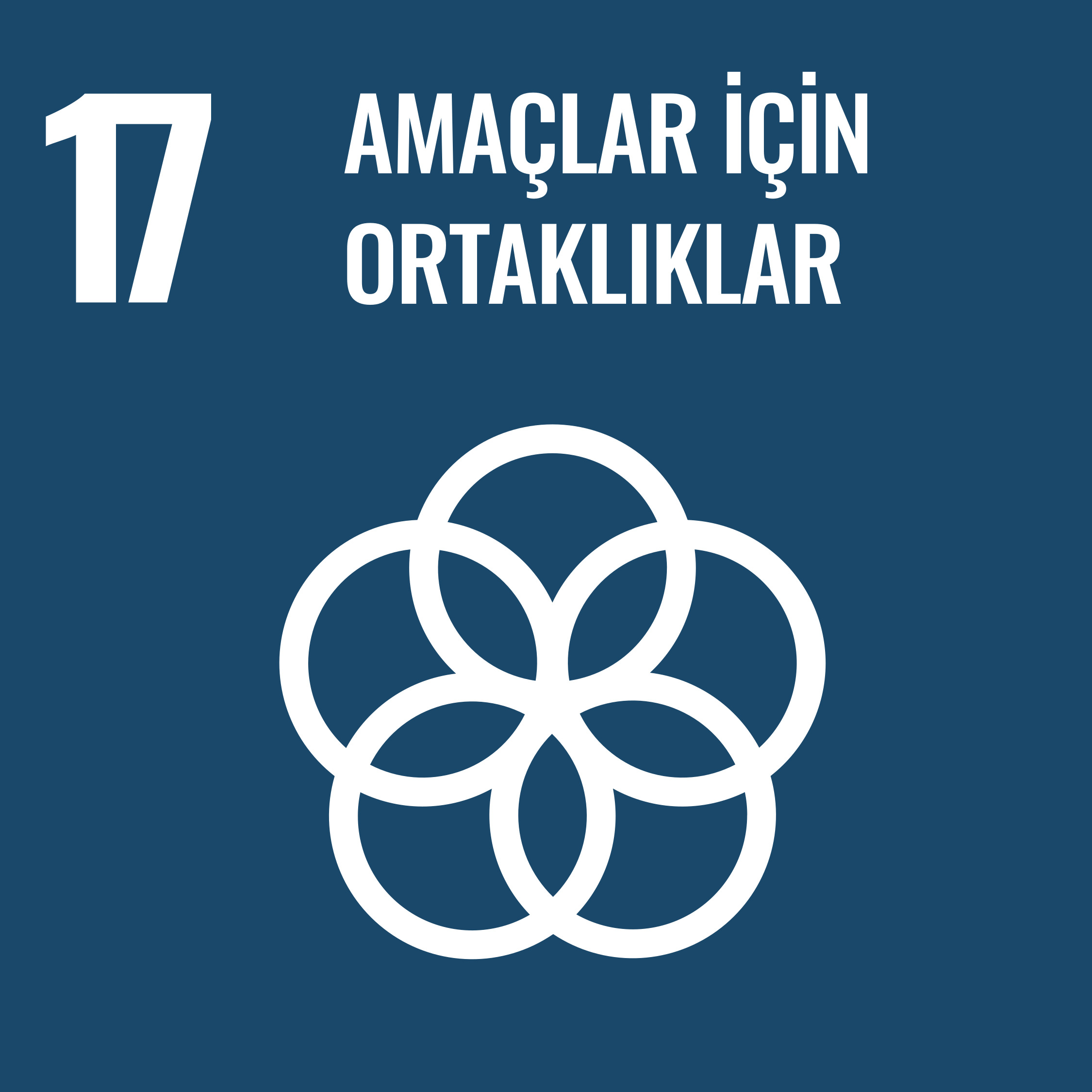 Ama&ccedil;lar i&ccedil;in Ortaklıklar